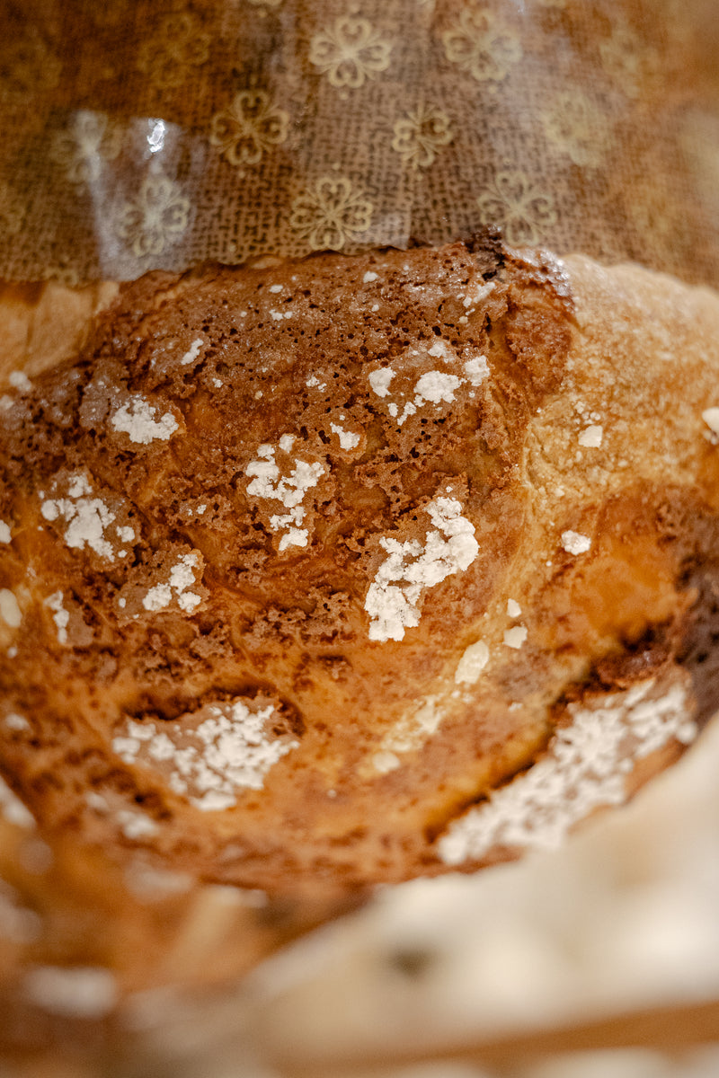Panettone au Levain du temps des Fêtes